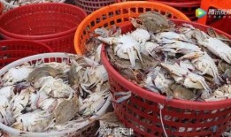 天津水产爆料事件最新,揭露海鲜市场惊人内幕