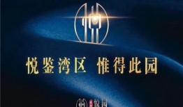 爆料惠州新闻最新消息,重大事件引发社会关注