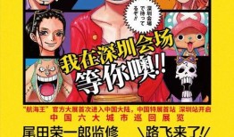 航海王最新英雄爆料大全,最新英雄爆料大全，揭秘神秘角色与精彩剧情