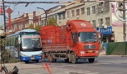 杞县东关车祸最新爆料,悲剧现场细节披露，调查深入进行中